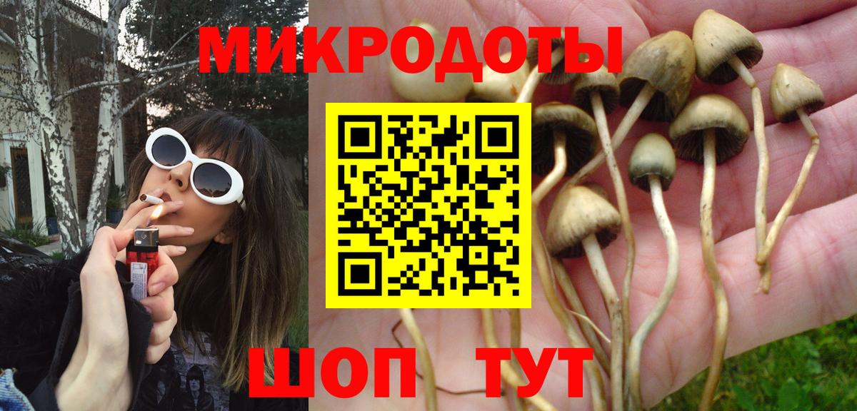 Псилоцибиновые грибы ЛСД  Галлюциногенные грибы MAGIC MUSHROOMS  Алатырь  Вход с VPN 